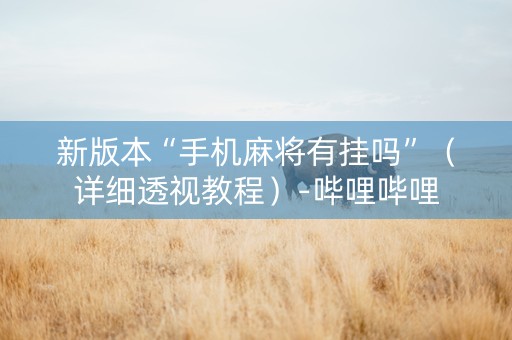 新版本“手机麻将有挂吗”（详细透视教程）-哔哩哔哩