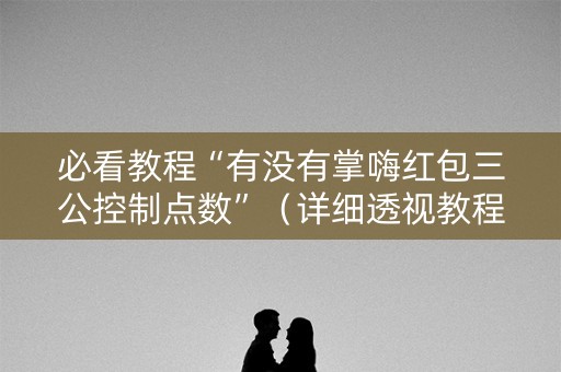 必看教程“有没有掌嗨红包三公控制点数”（详细透视教程）-哔哩哔哩