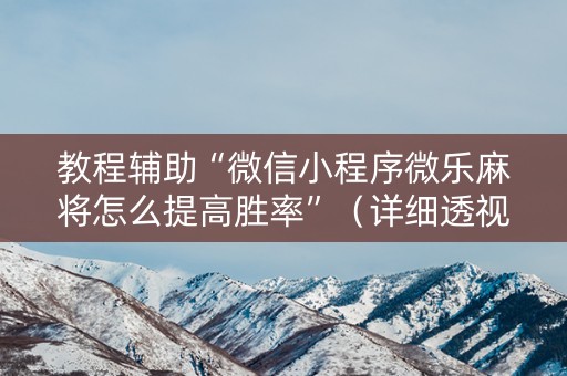 教程辅助“微信小程序微乐麻将怎么提高胜率”（详细透视教程）-哔哩哔哩