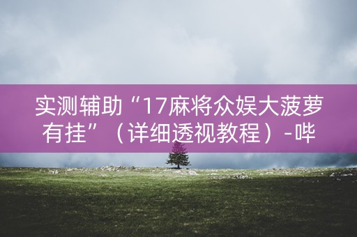 实测辅助“17麻将众娱大菠萝有挂”（详细透视教程）-哔哩哔哩