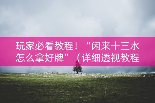玩家必看教程！“闲来十三水怎么拿好牌”（详细透视教程）-哔哩哔哩