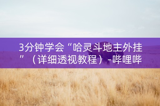3分钟学会“哈灵斗地主外挂”（详细透视教程）-哔哩哔哩