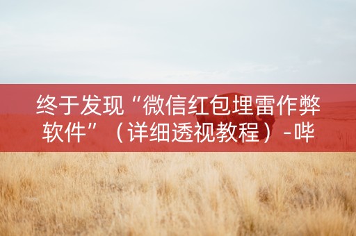 终于发现“微信红包埋雷作弊软件”（详细透视教程）-哔哩哔哩
