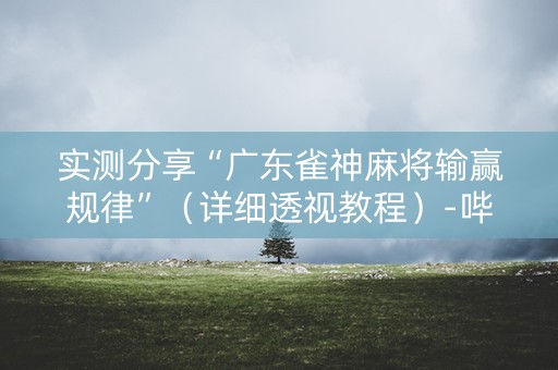 实测分享“广东雀神麻将输赢规律”（详细透视教程）-哔哩哔哩