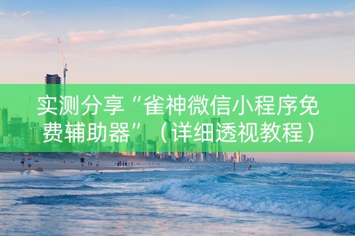 实测分享“雀神微信小程序免费辅助器”（详细透视教程）-哔哩哔哩