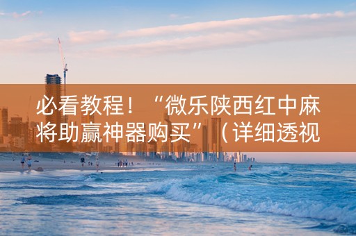 必看教程！“微乐陕西红中麻将助赢神器购买”（详细透视教程）-哔哩哔哩