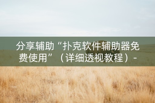 分享辅助“扑克软件辅助器免费使用”（详细透视教程）-哔哩哔哩