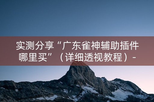 实测分享“广东雀神辅助插件哪里买”（详细透视教程）-哔哩哔哩