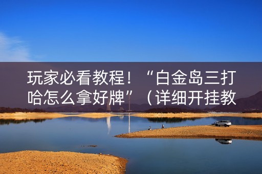 玩家必看教程！“白金岛三打哈怎么拿好牌”（详细开挂教程）-哔哩哔哩