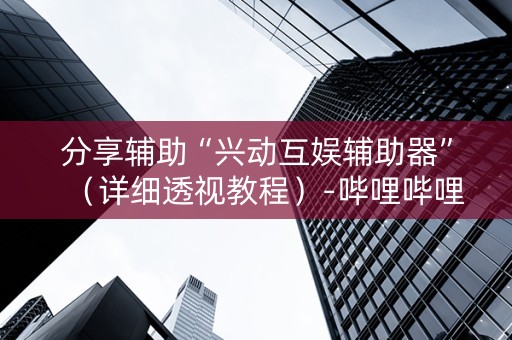 分享辅助“兴动互娱辅助器”（详细透视教程）-哔哩哔哩