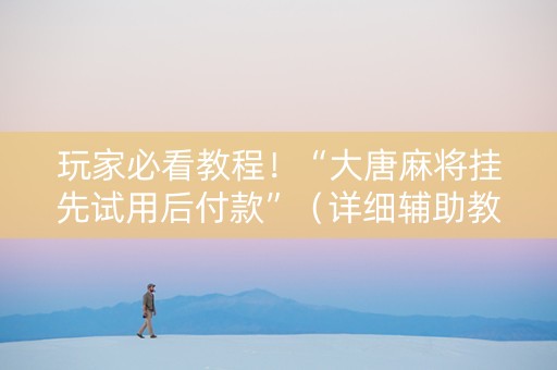 玩家必看教程！“大唐麻将挂先试用后付款”（详细辅助教程）-哔哩哔哩