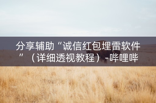 分享辅助“诚信红包埋雷软件”（详细透视教程）-哔哩哔哩