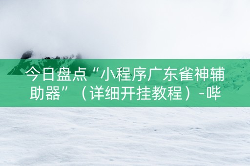 今日盘点“小程序广东雀神辅助器”（详细开挂教程）-哔哩哔哩