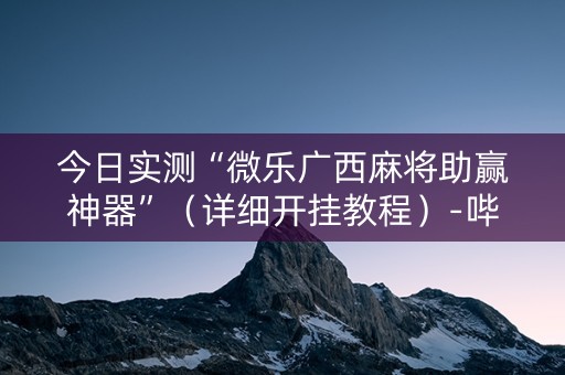 今日实测“微乐广西麻将助赢神器”（详细开挂教程）-哔哩哔哩