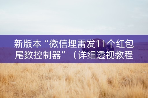 新版本“微信埋雷发11个红包尾数控制器”（详细透视教程）-哔哩哔哩