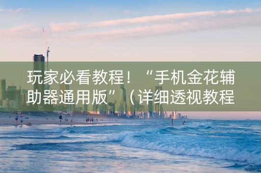 玩家必看教程！“手机金花辅助器通用版”（详细透视教程）-哔哩哔哩