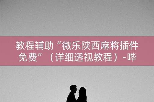 教程辅助“微乐陕西麻将插件免费”（详细透视教程）-哔哩哔哩