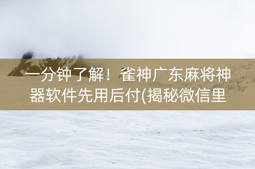一分钟了解！雀神广东麻将神器软件先用后付(揭秘微信里怎么容易赢)
