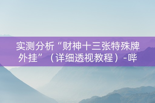 实测分析“财神十三张特殊牌外挂”（详细透视教程）-哔哩哔哩