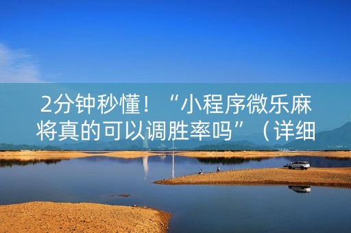 2分钟秒懂！“小程序微乐麻将真的可以调胜率吗”（详细透视教程）-哔哩哔哩