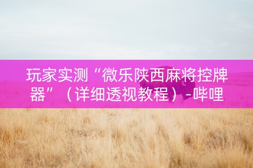 玩家实测“微乐陕西麻将控牌器”（详细透视教程）-哔哩哔哩