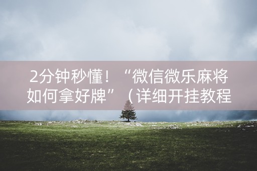 2分钟秒懂！“微信微乐麻将如何拿好牌”（详细开挂教程）-哔哩哔哩