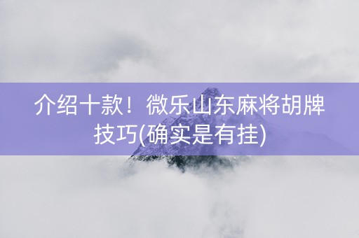 介绍十款！微乐山东麻将胡牌技巧(确实是有挂)