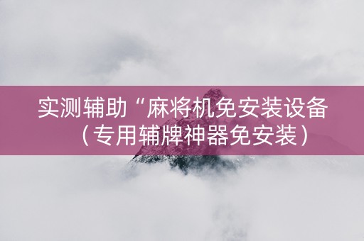 实测辅助“麻将机免安装设备（专用辅牌神器免安装）