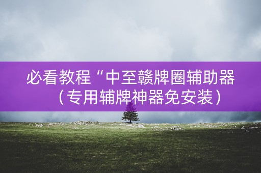 必看教程“中至赣牌圈辅助器（专用辅牌神器免安装）