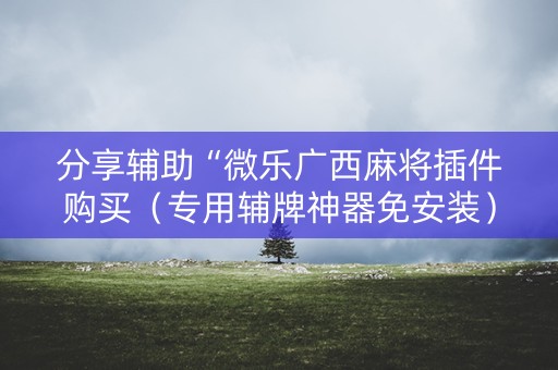 分享辅助“微乐广西麻将插件购买（专用辅牌神器免安装）