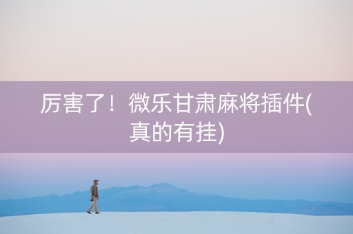 厉害了！微乐甘肃麻将插件(真的有挂)