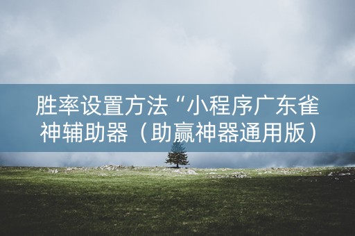 胜率设置方法“小程序广东雀神辅助器（助赢神器通用版）