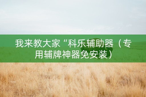 我来教大家“科乐辅助器（专用辅牌神器免安装）