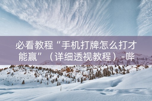 必看教程“手机打牌怎么打才能赢”（详细透视教程）-哔哩哔哩