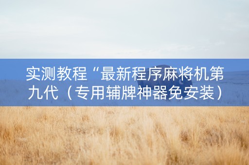 实测教程“最新程序麻将机第九代（专用辅牌神器免安装）