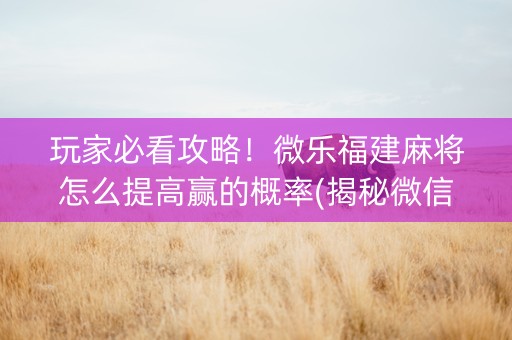 玩家必看攻略！微乐福建麻将怎么提高赢的概率(揭秘微信里插件免费)