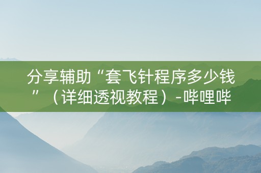 分享辅助“套飞针程序多少钱”（详细透视教程）-哔哩哔哩