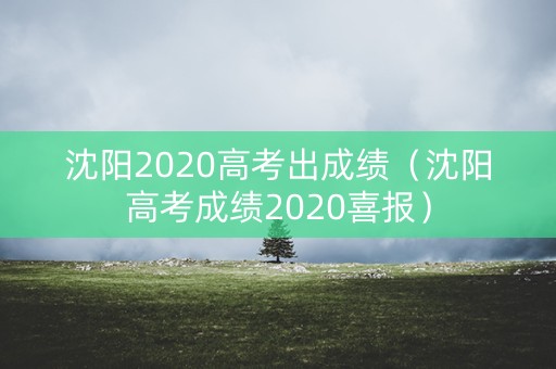 沈阳2020高考出成绩（沈阳高考成绩2020喜报）