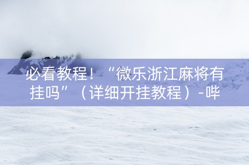 必看教程！“微乐浙江麻将有挂吗”（详细开挂教程）-哔哩哔哩