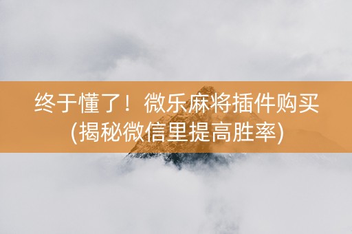 终于懂了！微乐麻将插件购买(揭秘微信里提高胜率)
