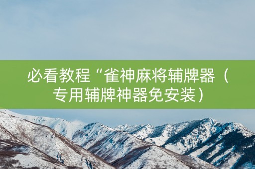必看教程“雀神麻将辅牌器（专用辅牌神器免安装）