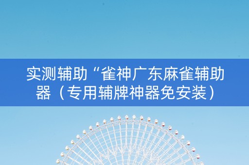 实测辅助“雀神广东麻雀辅助器（专用辅牌神器免安装）