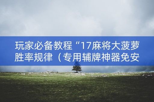 玩家必备教程“17麻将大菠萝胜率规律（专用辅牌神器免安装）