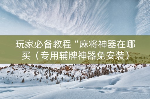 玩家必备教程“麻将神器在哪买（专用辅牌神器免安装）