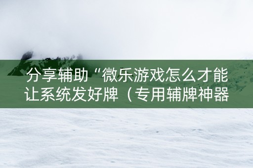 分享辅助“微乐游戏怎么才能让系统发好牌（专用辅牌神器免安装）