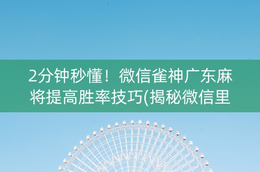 2分钟秒懂！微信雀神广东麻将提高胜率技巧(揭秘微信里胡牌技巧)