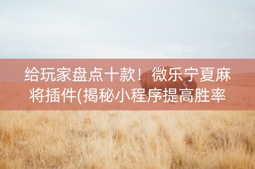 给玩家盘点十款！微乐宁夏麻将插件(揭秘小程序提高胜率)