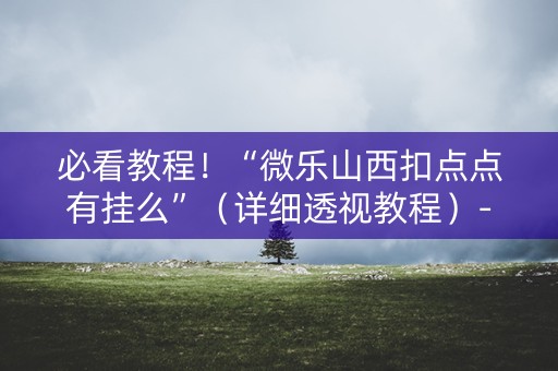 必看教程！“微乐山西扣点点有挂么”（详细透视教程）-哔哩哔哩