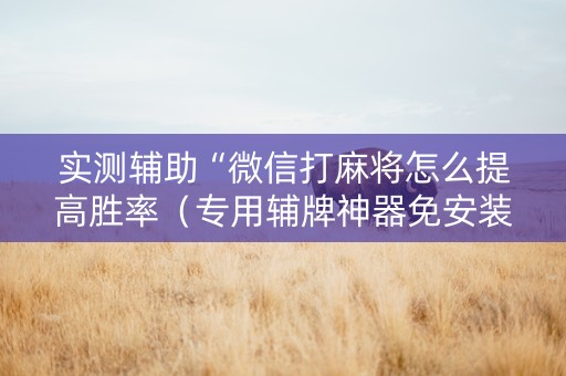 实测辅助“微信打麻将怎么提高胜率（专用辅牌神器免安装）