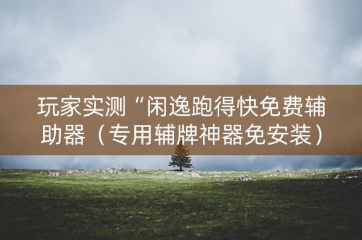 玩家实测“闲逸跑得快免费辅助器（专用辅牌神器免安装）